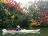 紅葉の亀山湖 ♪