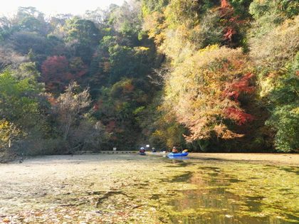 紅葉の亀山湖 ♪
