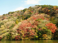 紅葉の亀山湖 ♪