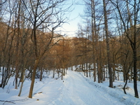 2014.1.25 雲竜渓谷 ♪