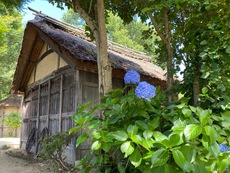 長野でのんびりキャンプと川下り♪
