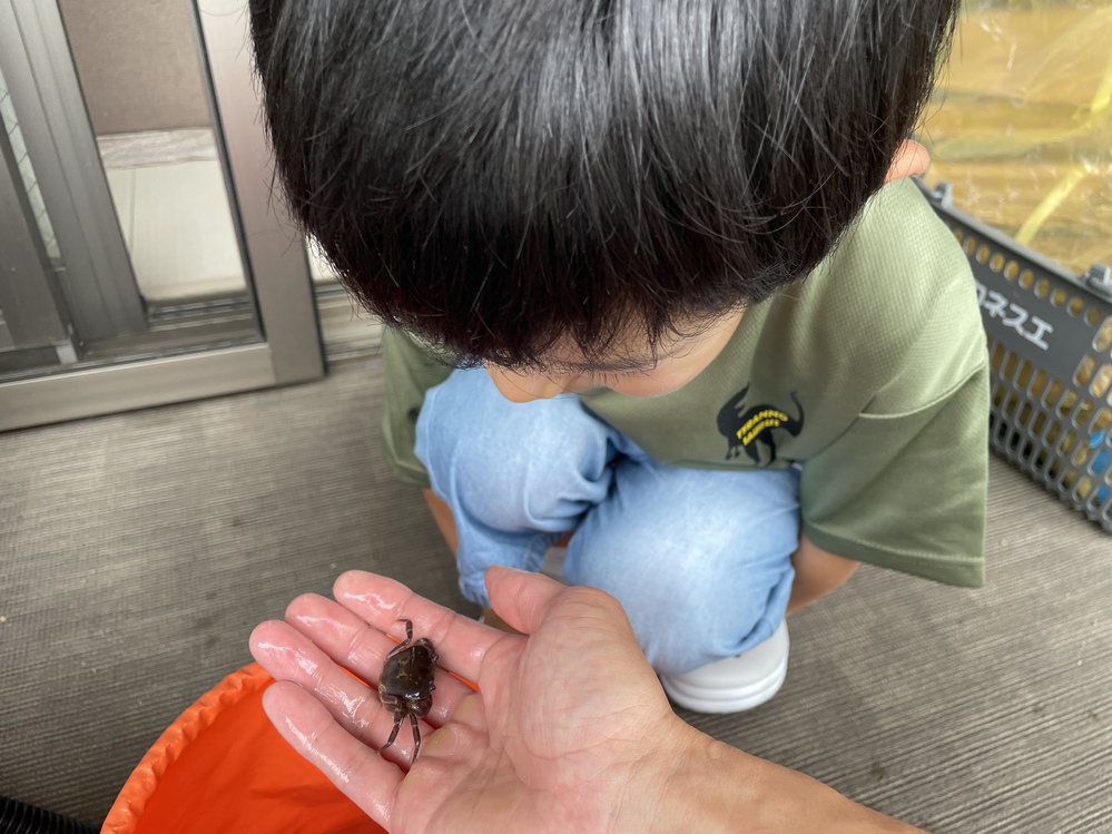 【キャンプ記録】令和6年6月29日㈯~30日㈰大垣市野外活動センター 【キャンプ記録】令和6年6月29日㈯~30日㈰大垣市野外活動センター