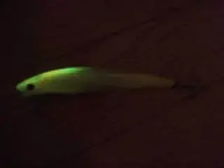 グローカラー グローカラー