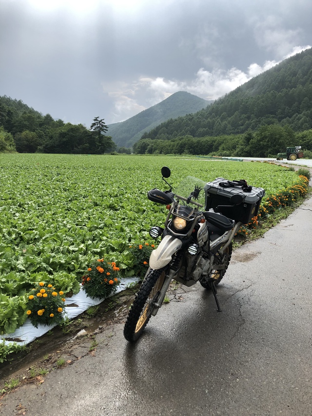 3年振りの中津川林道から平沢峠へ 3年振りの中津川林道から平沢峠へ