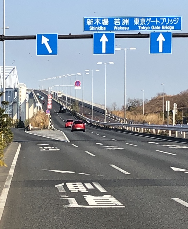 暖かく穏やかな晴天なので 暖かく穏やかな晴天なので