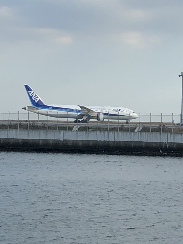 暖かく穏やかな晴天なので 暖かく穏やかな晴天なので