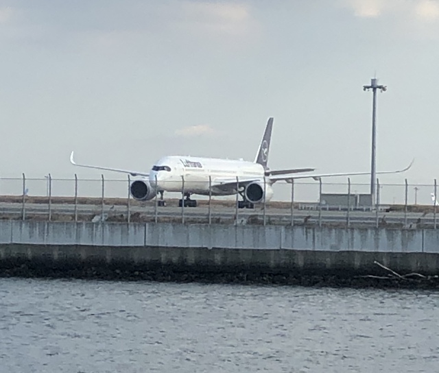 暖かく穏やかな晴天なので 暖かく穏やかな晴天なので