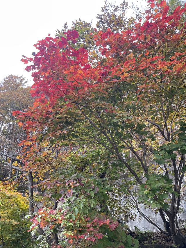「日本3大岩壁」のひとつ…一ノ倉沢へ 「日本3大岩壁」のひとつ…一ノ倉沢へ