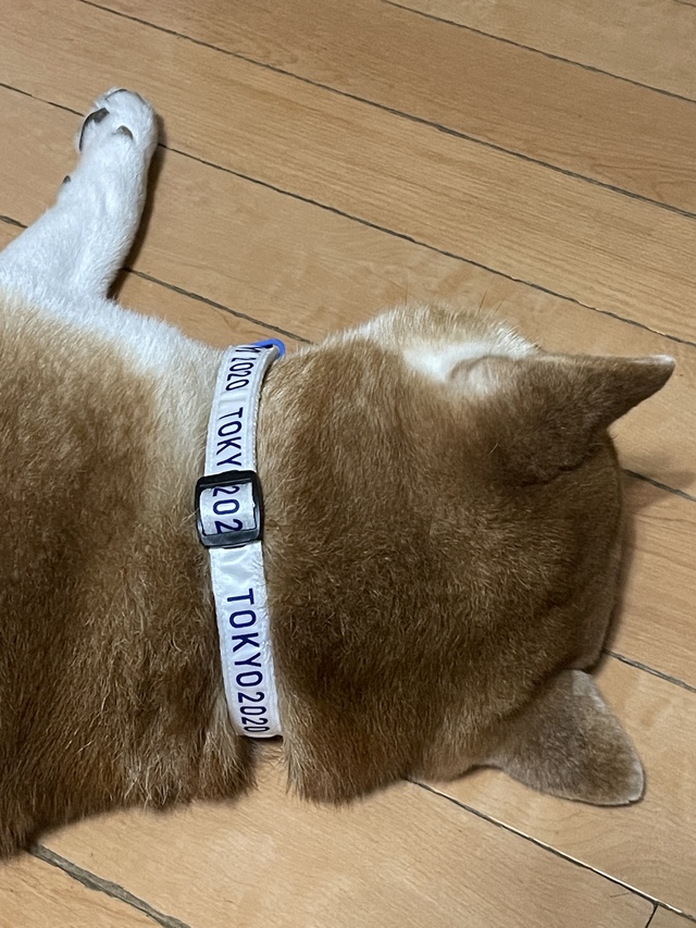 mRNA ワクチン接種完了 mRNA ワクチン接種完了