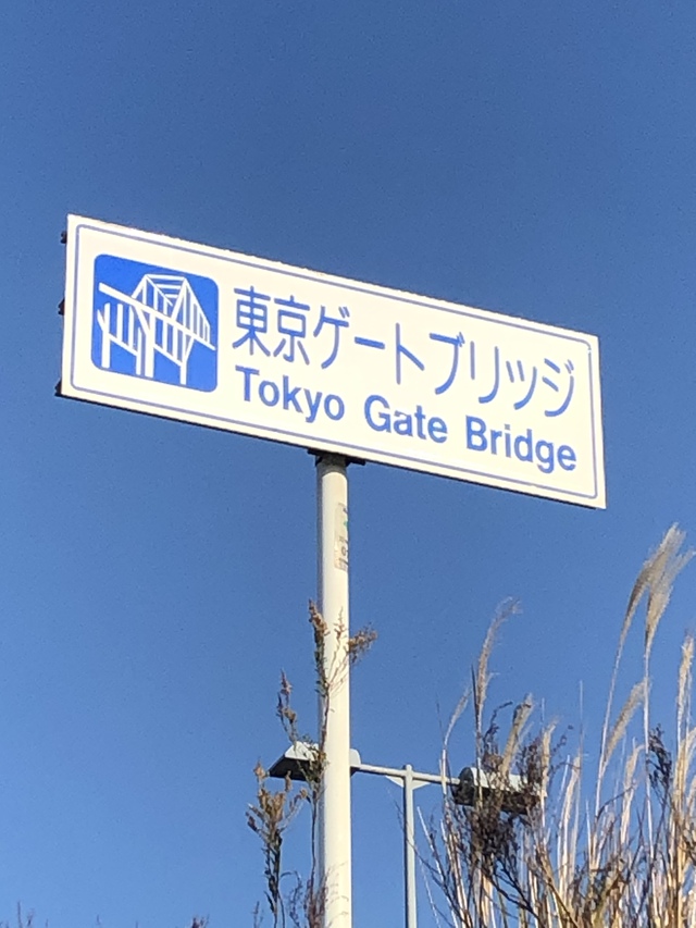 暖かく穏やかな晴天なので 暖かく穏やかな晴天なので