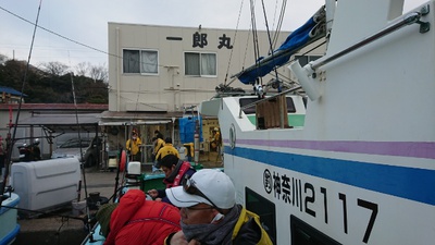 湾ふぐ 湾ふぐ
