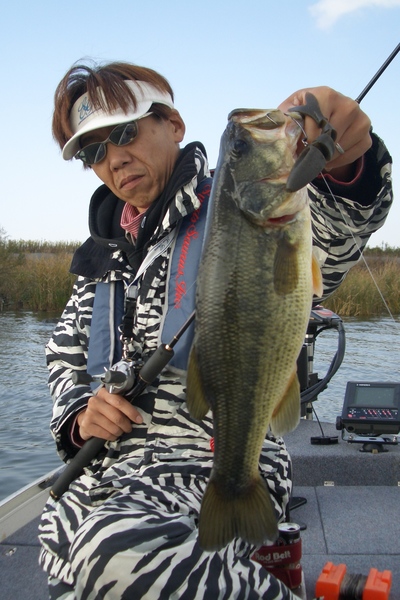 『LoveFish?』再登場