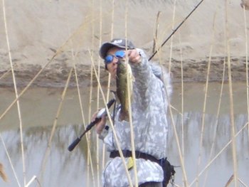釣れ始めました(^^)/