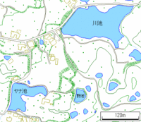 K池とY池