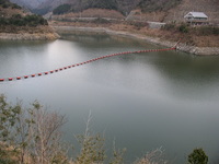 本庄川ダム湖と上流の池