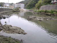 岩戸川