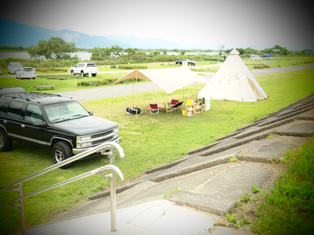 張ってまいりました
