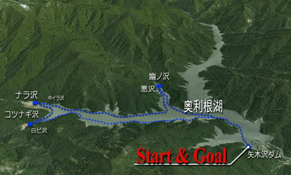 奥利根湖に集う?