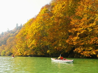 2013.11.2 紅葉の奥利根湖 ♪