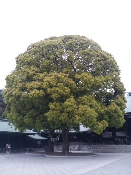 今さら総まとめ2014 今さら総まとめ2014