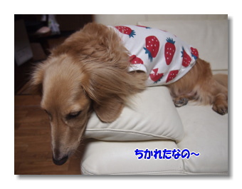 再び、ご無沙汰です 再び、ご無沙汰です