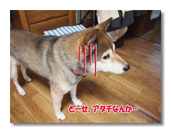 4度目のチャレンジ!! 4度目のチャレンジ!!