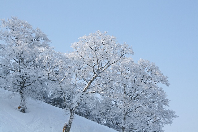 * 雪山登山 氷ノ山 はじめての三の丸コース * 登山口~三の丸編