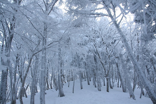 * 雪山登山 氷ノ山 はじめての三の丸コース * 登山口~三の丸編