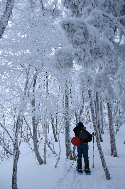 * 雪山登山 氷ノ山 はじめての三の丸コース * 登山口~三の丸編