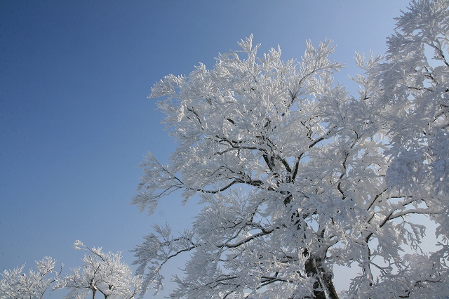 * 雪山登山 氷ノ山 はじめての三の丸コース * 登山口~三の丸編