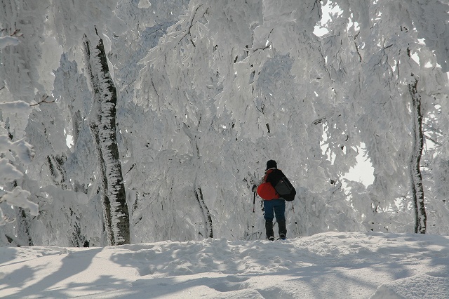 * 雪山登山 氷ノ山 はじめての三の丸コース * 登山口~三の丸編
