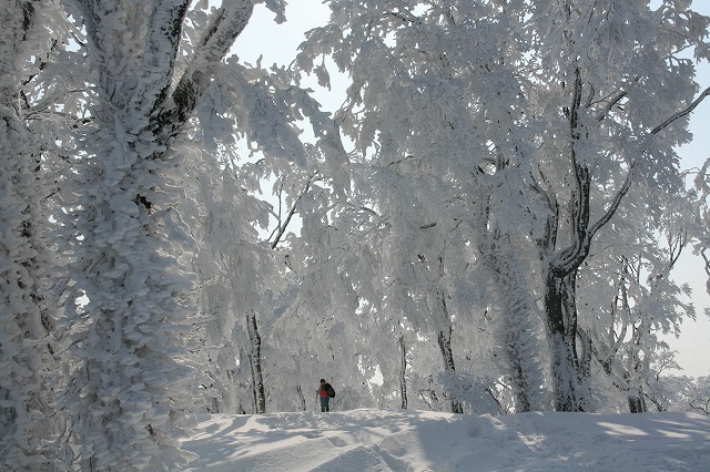 * 雪山登山 氷ノ山 はじめての三の丸コース * 登山口~三の丸編