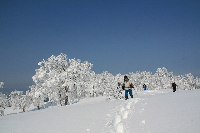 * 雪山登山 氷ノ山 はじめての三の丸コース * 登山口~三の丸編