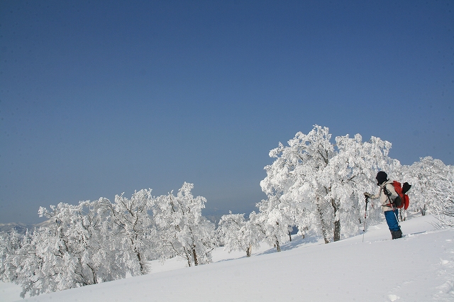 * 雪山登山 氷ノ山 はじめての三の丸コース * 登山口~三の丸編