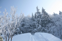 * 雪山登山 氷ノ山 はじめての三の丸コース * 登山口~三の丸編
