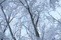 * 雪山登山 氷ノ山 はじめての三の丸コース * 登山口~三の丸編