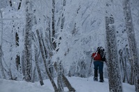 * 雪山登山 氷ノ山 はじめての三の丸コース * 登山口~三の丸編
