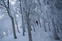 * 雪山登山 氷ノ山 はじめての三の丸コース * 登山口~三の丸編