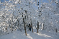 * 雪山登山 氷ノ山 はじめての三の丸コース * 登山口~三の丸編