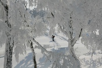 * 雪山登山 氷ノ山 はじめての三の丸コース * 登山口~三の丸編