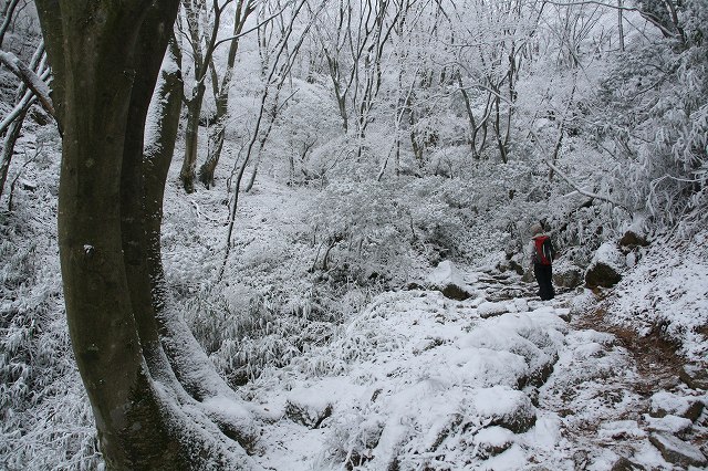 * 雪の六甲全山縦走 最終日 * 有馬~宝塚