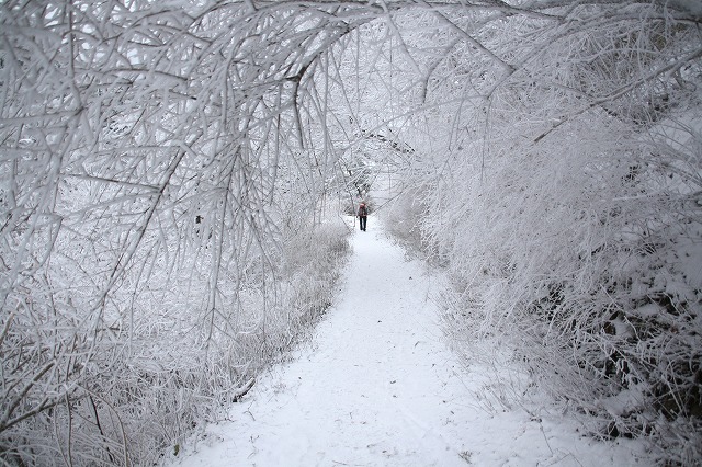 * 雪の六甲全山縦走 最終日 * 有馬~宝塚