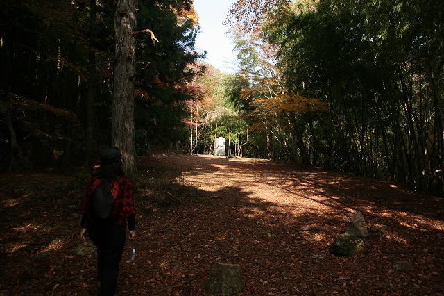 * 見どころ満載 秋の金山登山 * 丹波篠山