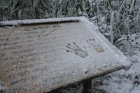 ＊　雪の六甲全山縦走　最終日　＊　有馬～宝塚