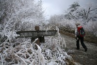 ＊　雪の六甲全山縦走　最終日　＊　有馬～宝塚