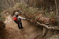 ＊　雪の六甲全山縦走　最終日　＊　有馬～宝塚