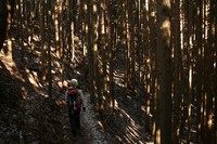 * 雪の六甲全山縦走 最終日 * 有馬~宝塚