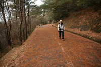 * 雪の六甲全山縦走 最終日 * 有馬~宝塚