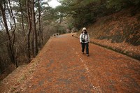 ＊　雪の六甲全山縦走　最終日　＊　有馬～宝塚