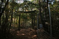 * 見どころ満載 秋の金山登山 * 丹波篠山